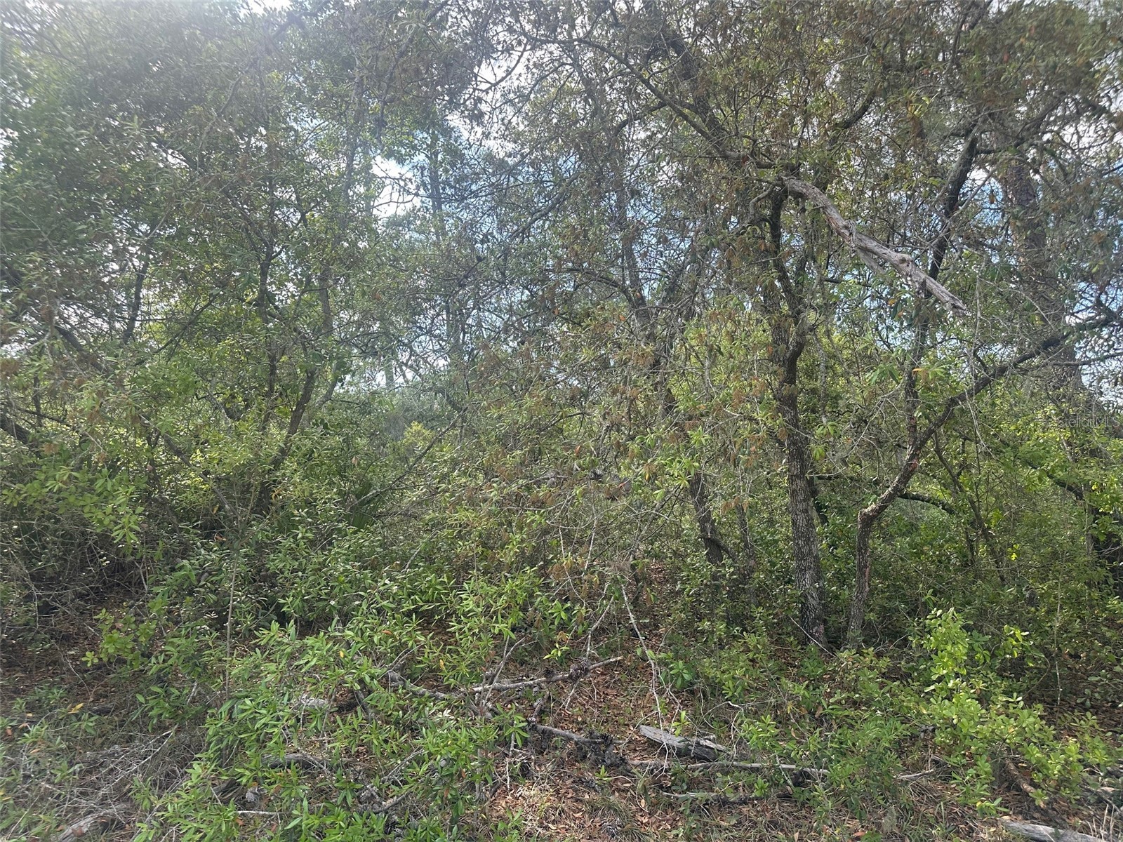 Lot 6 SW 170th Place Ocala FL 34473 OM723345 image4