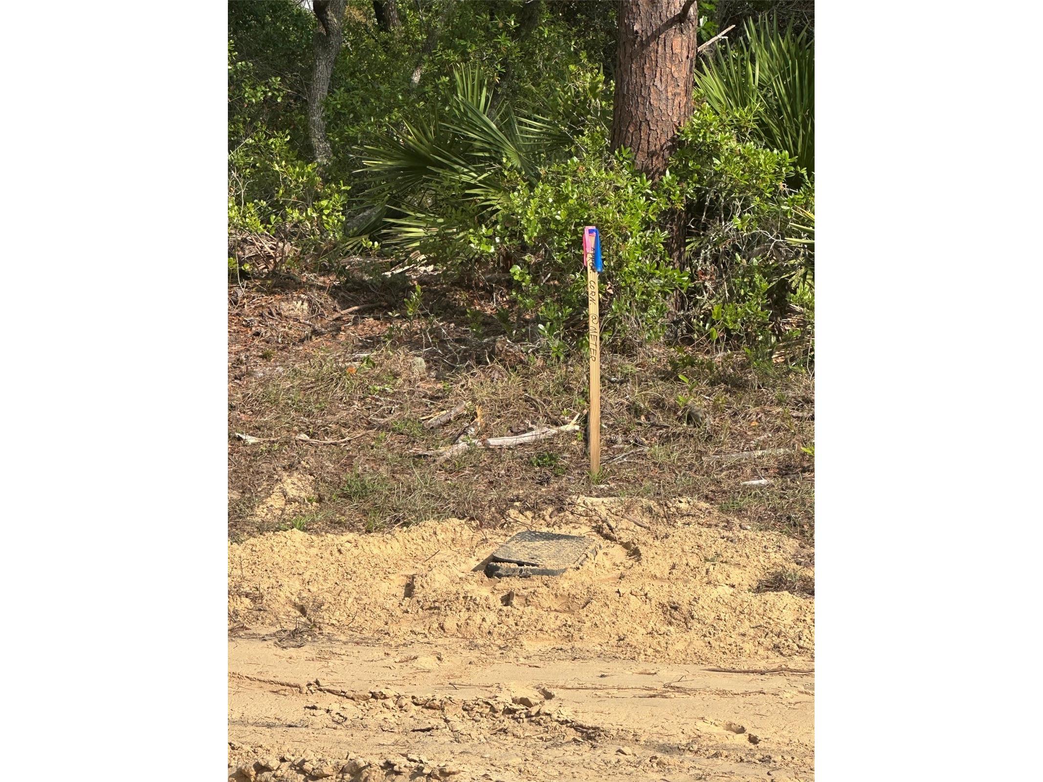Lot 6 SW 170th Place Ocala FL 34473 OM723345 image8