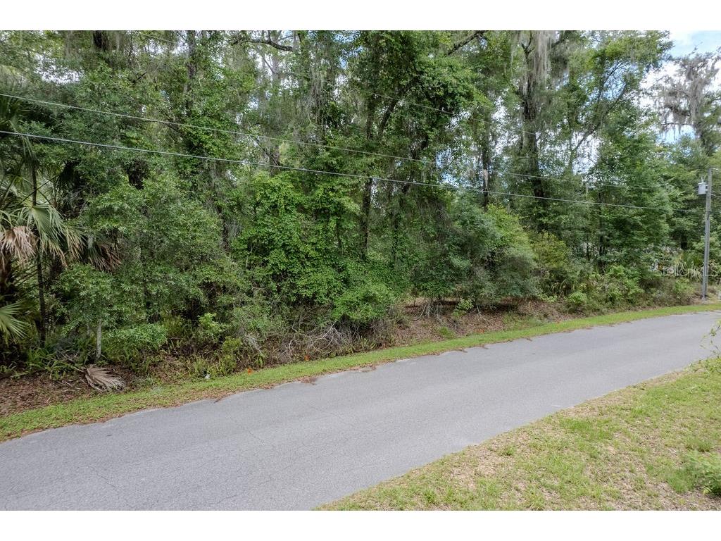 Lot 6 SW 186 Circle Dunnellon FL 34432 - RAINBOW RIVER OM726202 image1