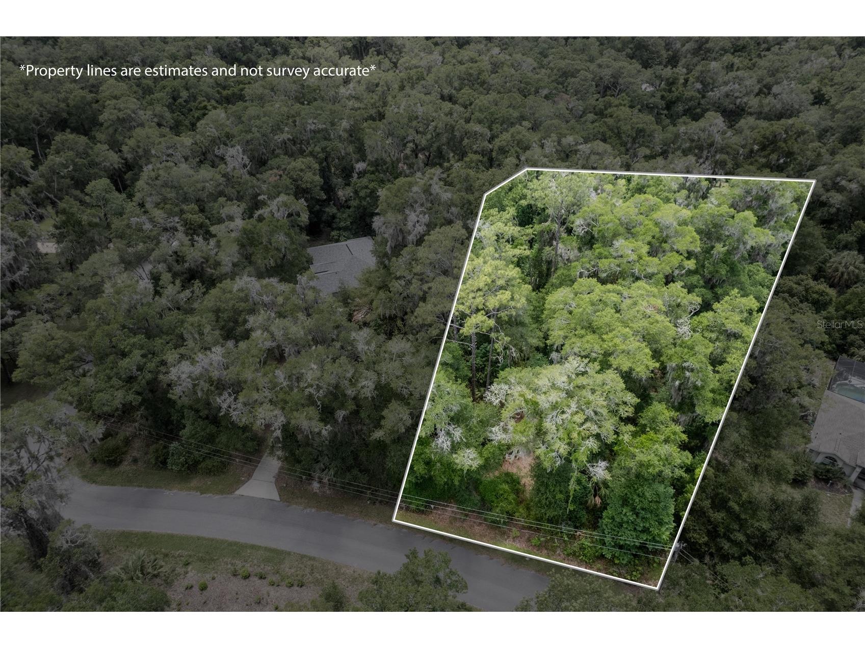 Lot 6 SW 186 Circle Dunnellon FL 34432 - RAINBOW RIVER OM726202 image6