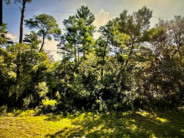 Lot 6 SW 23rd Court Ocala FL 34473 OM680590 image1