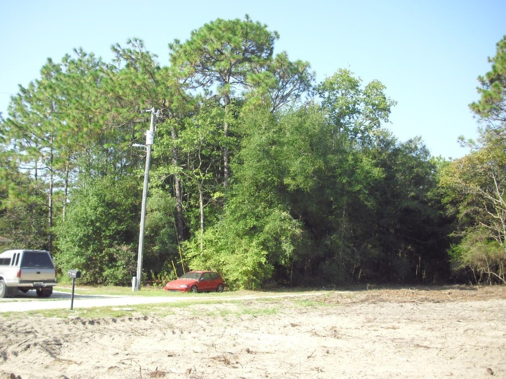 Lot 6 SW 23rd Place Ocala FL 34481 OM710274 image21