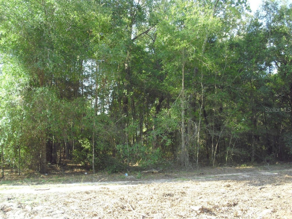 Lot 6 SW 23rd Place Ocala FL 34481 OM710274 image24