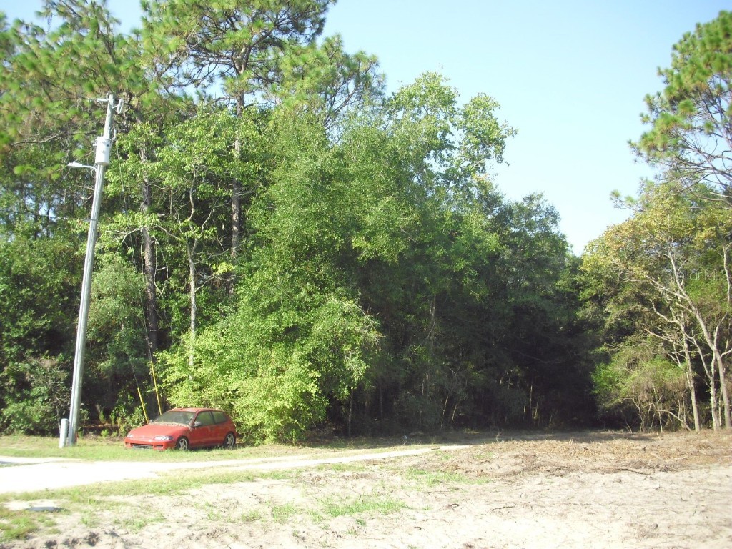 Lot 6 SW 23rd Place Ocala FL 34481 OM710274 image5