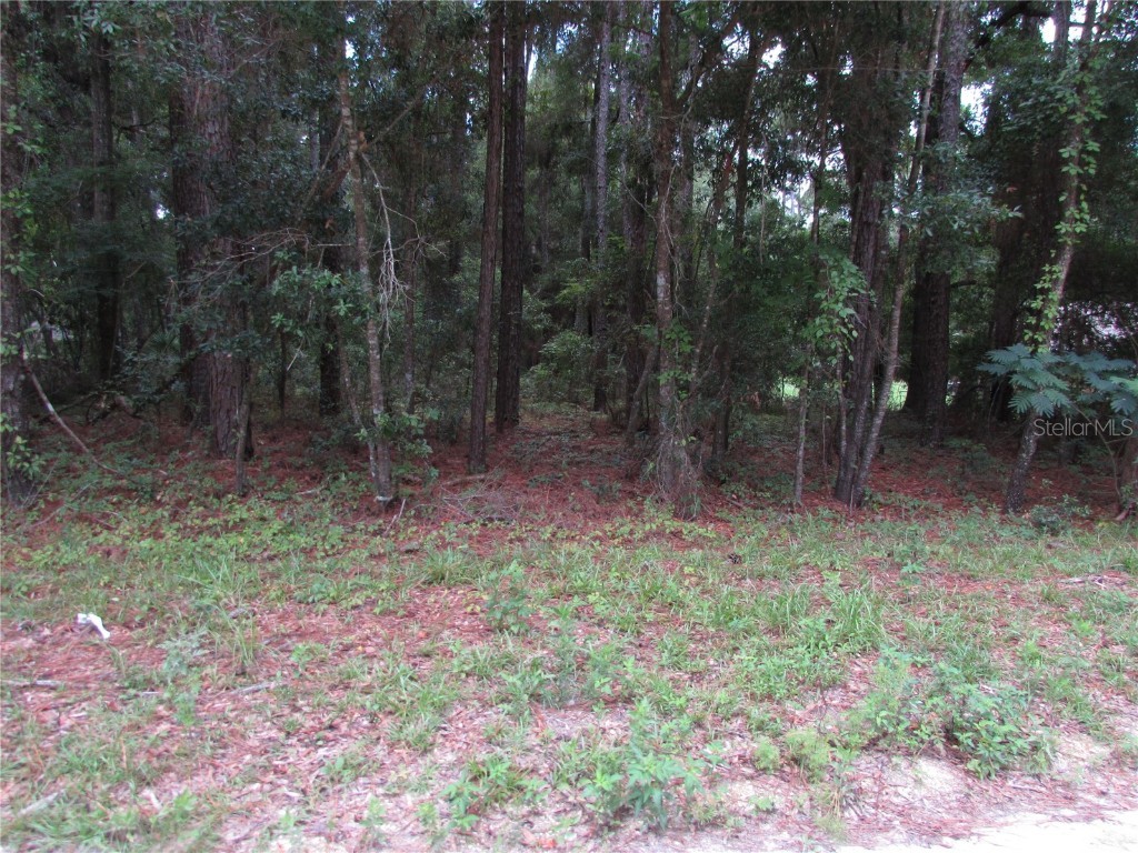 Lot 6 SW 40th Place Road Ocala FL 34481 OM681440 image1
