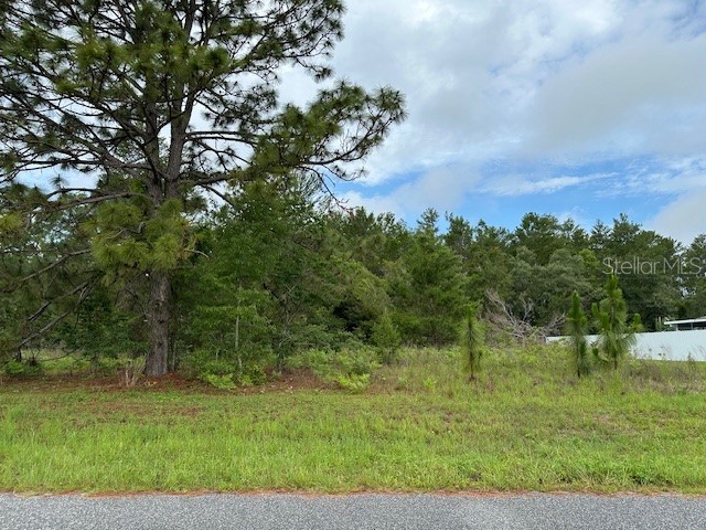 Lot 6 SW 48 Court Road Ocala FL 34473 OM703257 image1