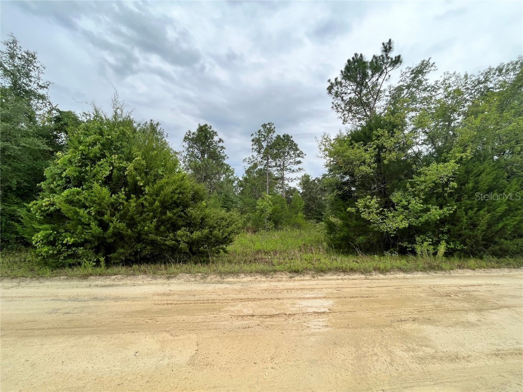 Lot 6 SW 60 Place Ocala FL 34481 OM660094 image1