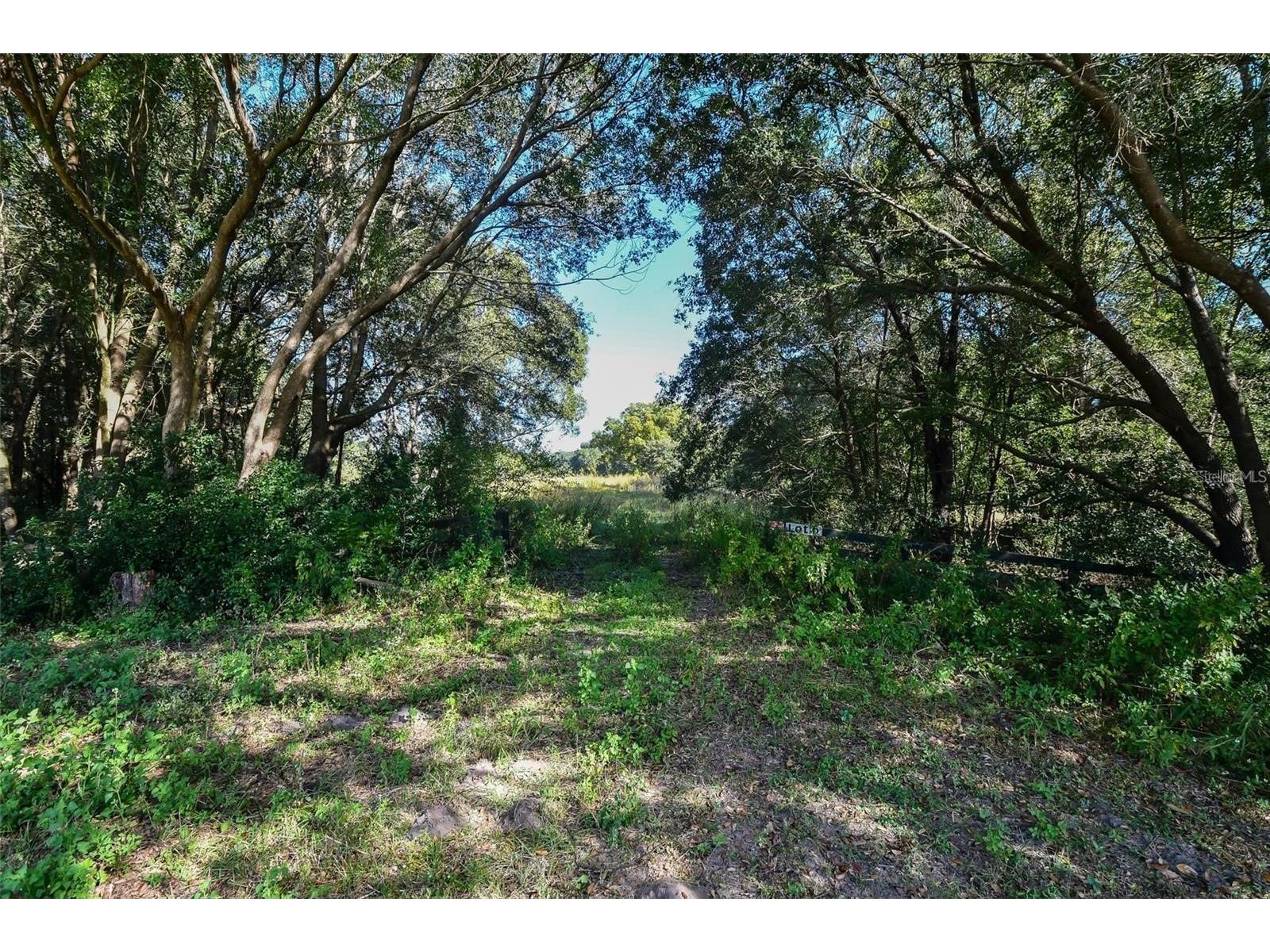 Lot 6 Tree Frog Lane Eustis FL 32736 V4946638 image10
