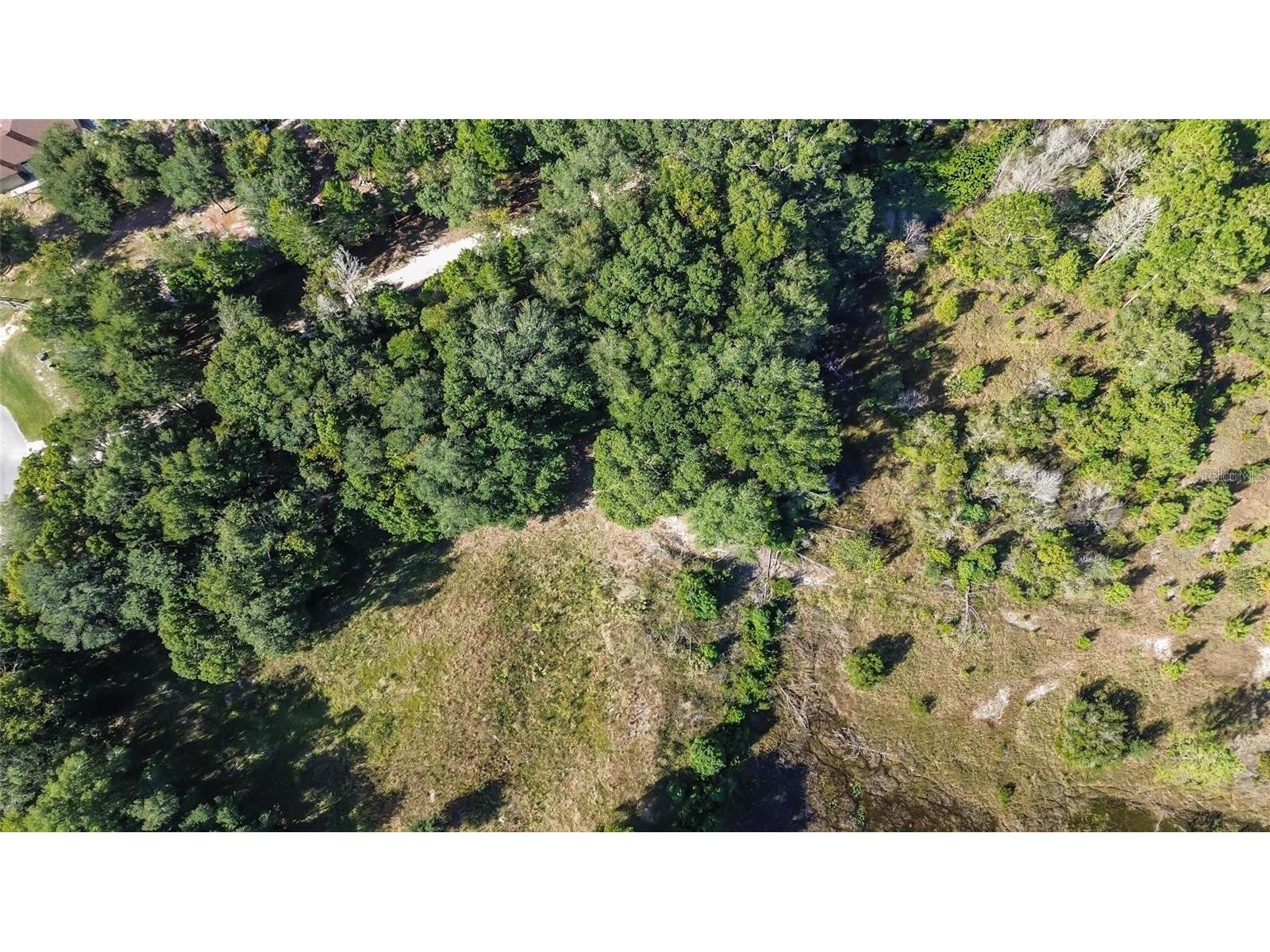 Lot 6 Tree Frog Lane Eustis FL 32736 V4946638 image13