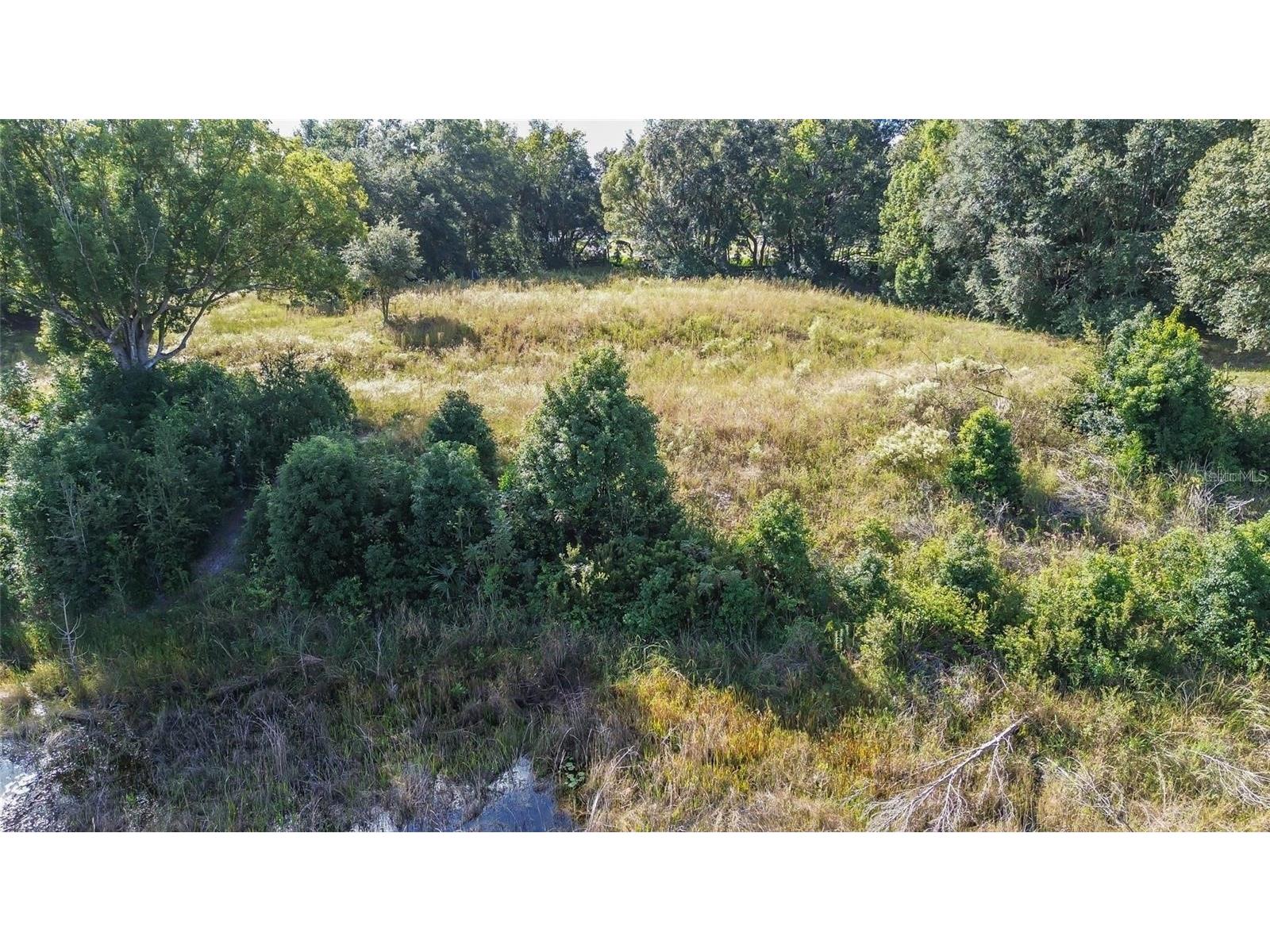 Lot 6 Tree Frog Lane Eustis FL 32736 V4946638 image4