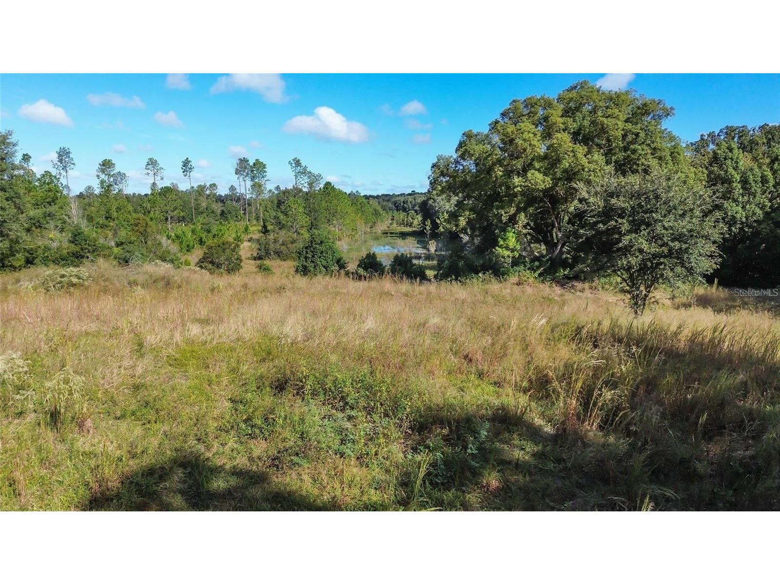 Lot 6 Tree Frog Lane Eustis FL 32736 V4946638 image5