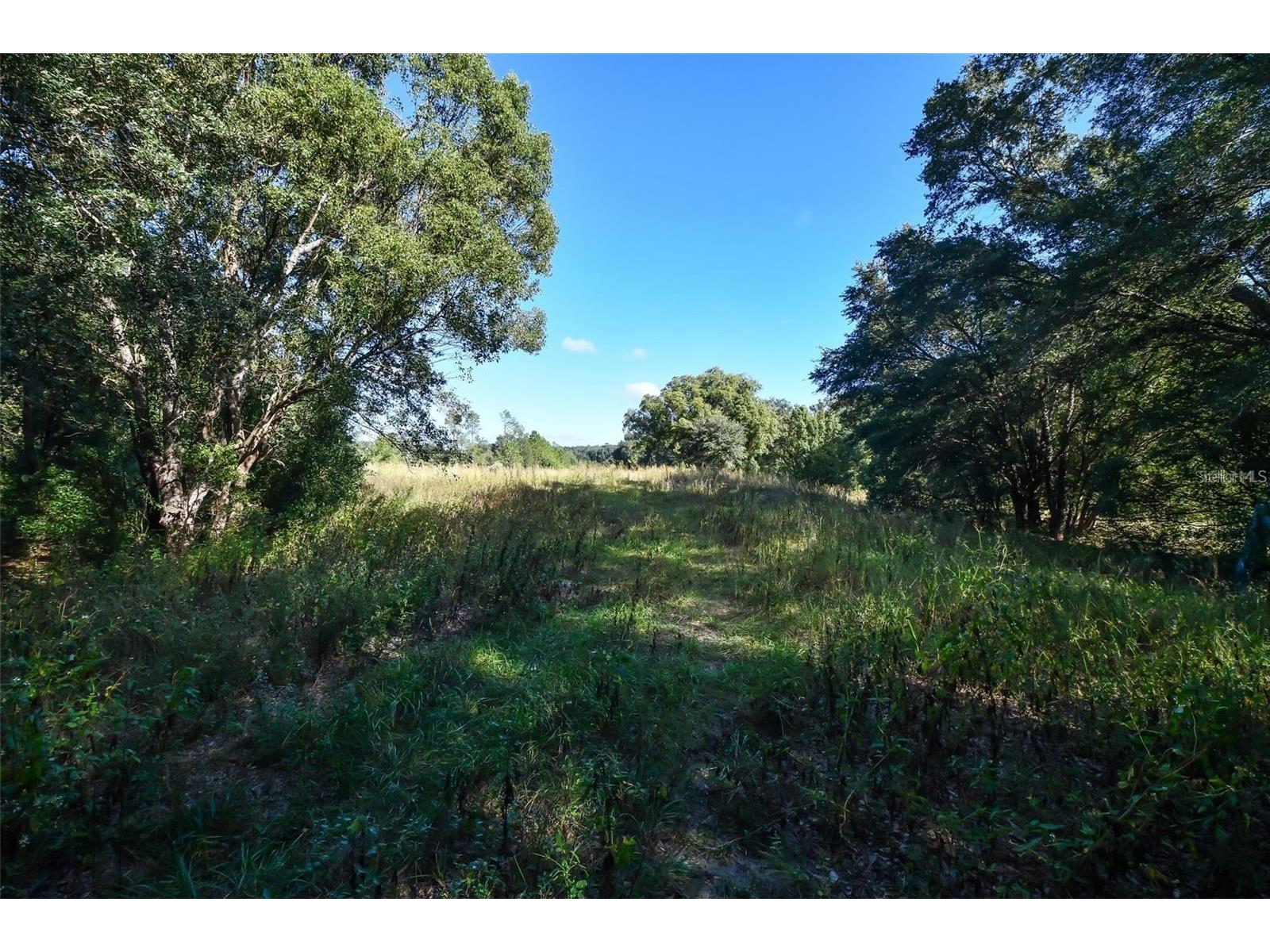 Lot 6 Tree Frog Lane Eustis FL 32736 V4946638 image9