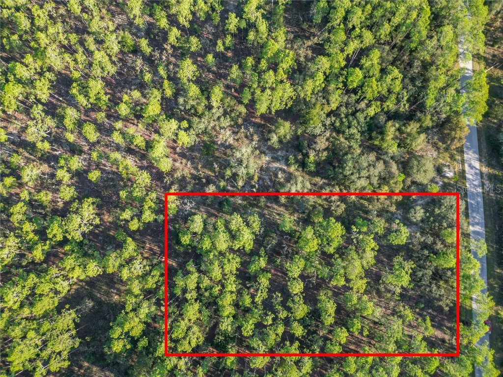 Lot 6 Wisteria Court Dunnellon FL 34431 TB8314531 image1