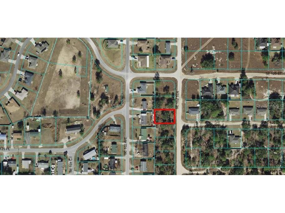 Lot 61 SE 102nd Terrace Belleview FL 34420 OM667289 image1