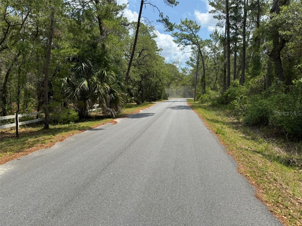 Lot 62 Michigan Avenue Weeki Wachee FL 34613 A4653077 image2