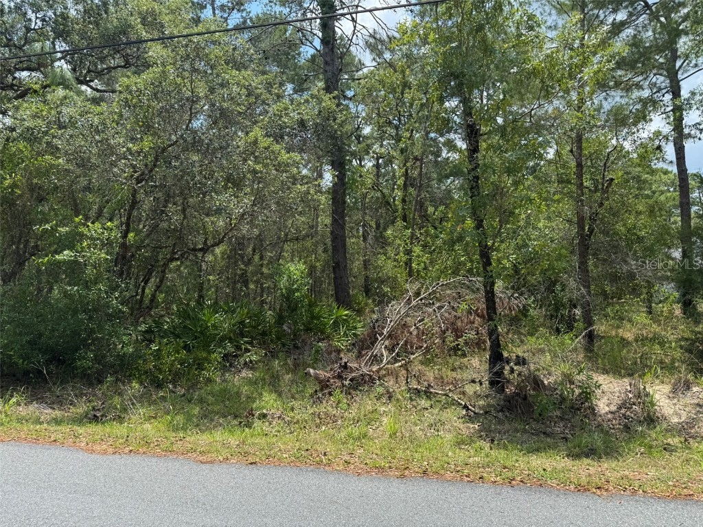 Lot 62 Michigan Avenue Weeki Wachee FL 34613 A4653077 image3