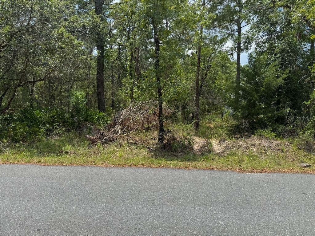 Lot 62 Michigan Avenue Weeki Wachee FL 34613 A4653077 image4