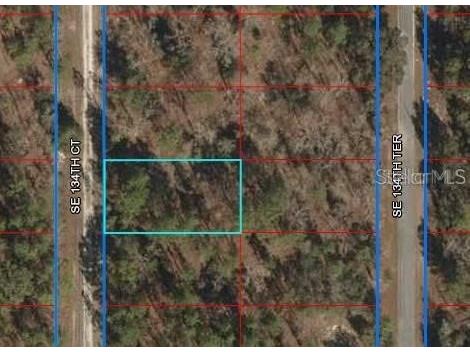 Lot 62 SE 134th Court Dunnellon FL 34431 OM699605 image1