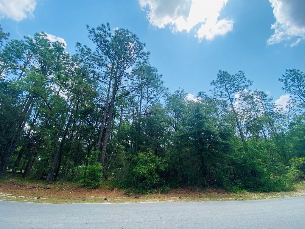 Lot 62 SW 203 Avenue Dunnellon FL 34431 OM657914 image1