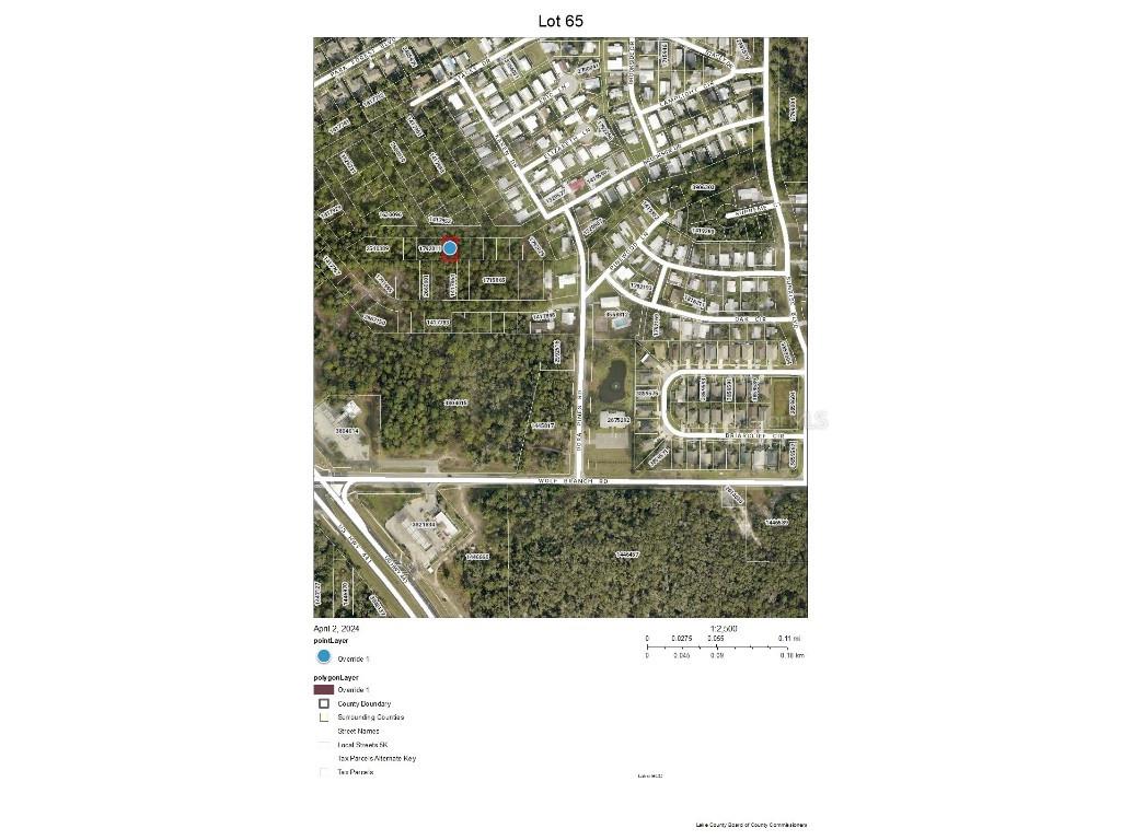 Lot 65 Karen Drive Mount Dora FL 32757 G5080402 image1