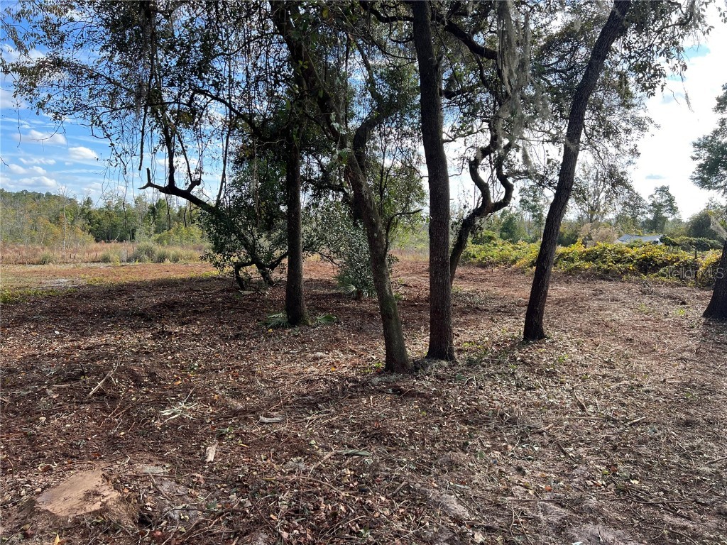 Lot 66 & Lot 67 Ashley Street Hawthorne FL 32640 GC379557 image10