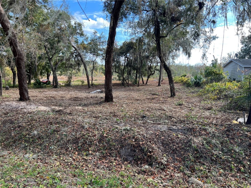 Lot 66 & Lot 67 Ashley Street Hawthorne FL 32640 GC379557 image8