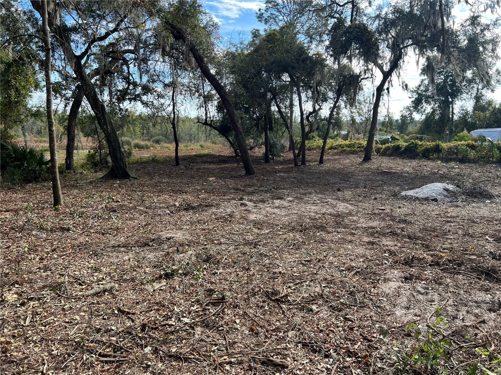 Lot 66 & Lot 67 Ashley Street Hawthorne FL 32640 GC379557 image9