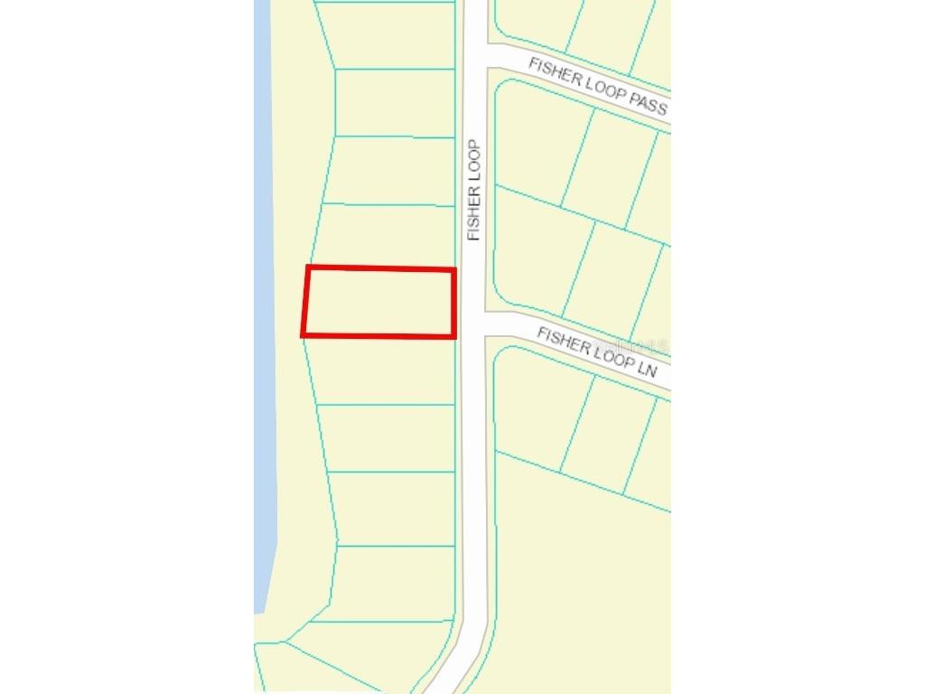 Lot 67 Fisher Loop Ocklawaha FL 32179 OM642953 image1