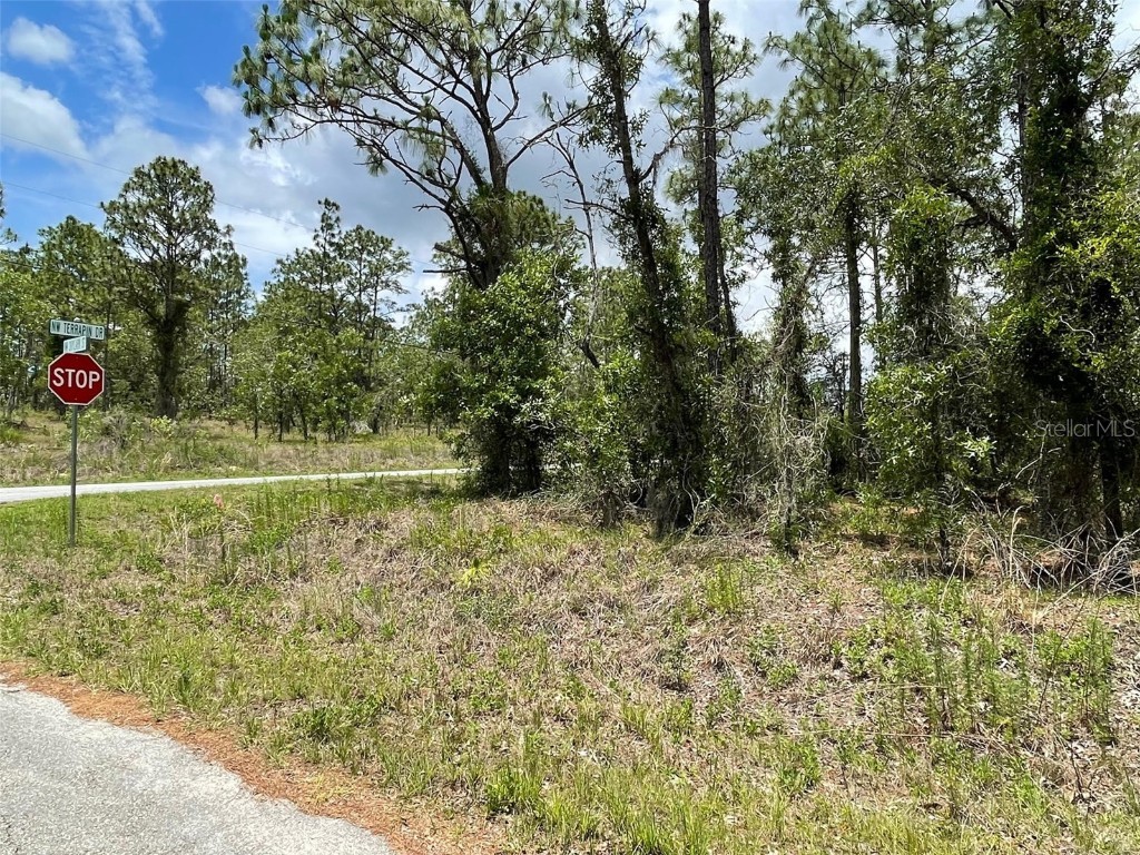 Lot 68 NW Skylark Street Dunnellon FL 34431 OM658349 image1