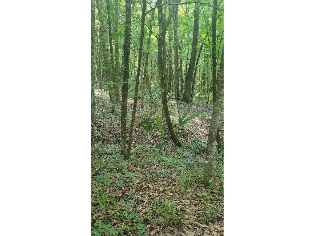 Lot 69 SE 41 Terrace Belleview FL 34420 OM678039 image1