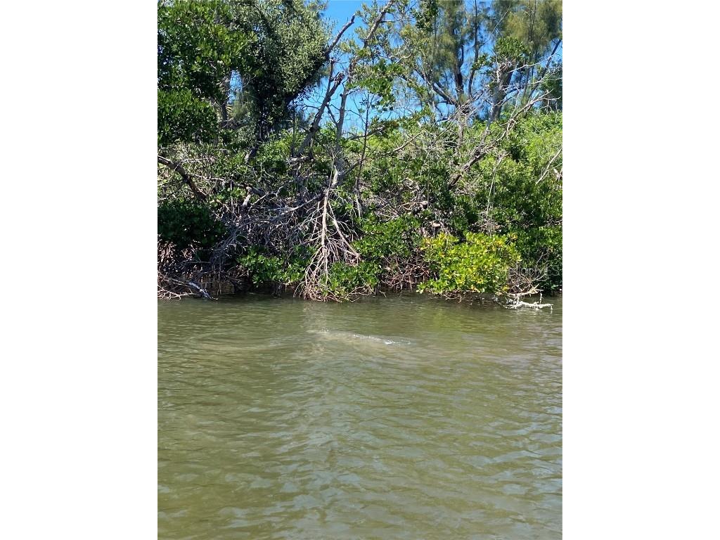 Lot 7 & 10 Access Undetermined Captiva FL 33924 - Pelican Bay C7504693 image19