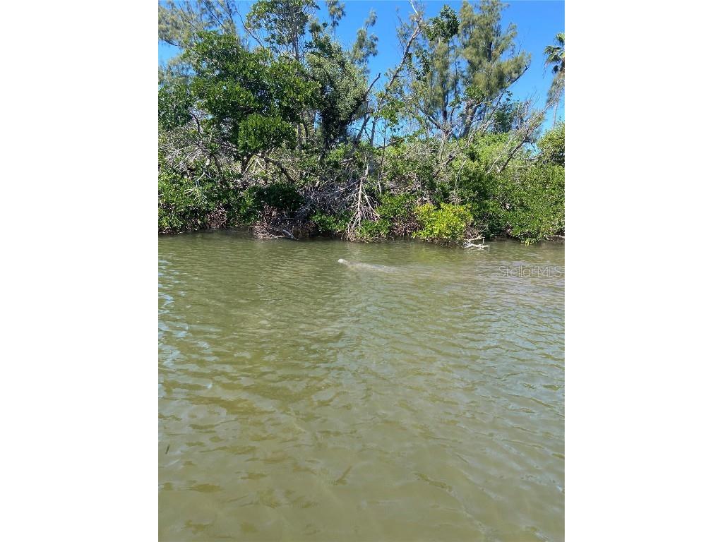 Lot 7 & 10 Access Undetermined Captiva FL 33924 - Pelican Bay C7504693 image20