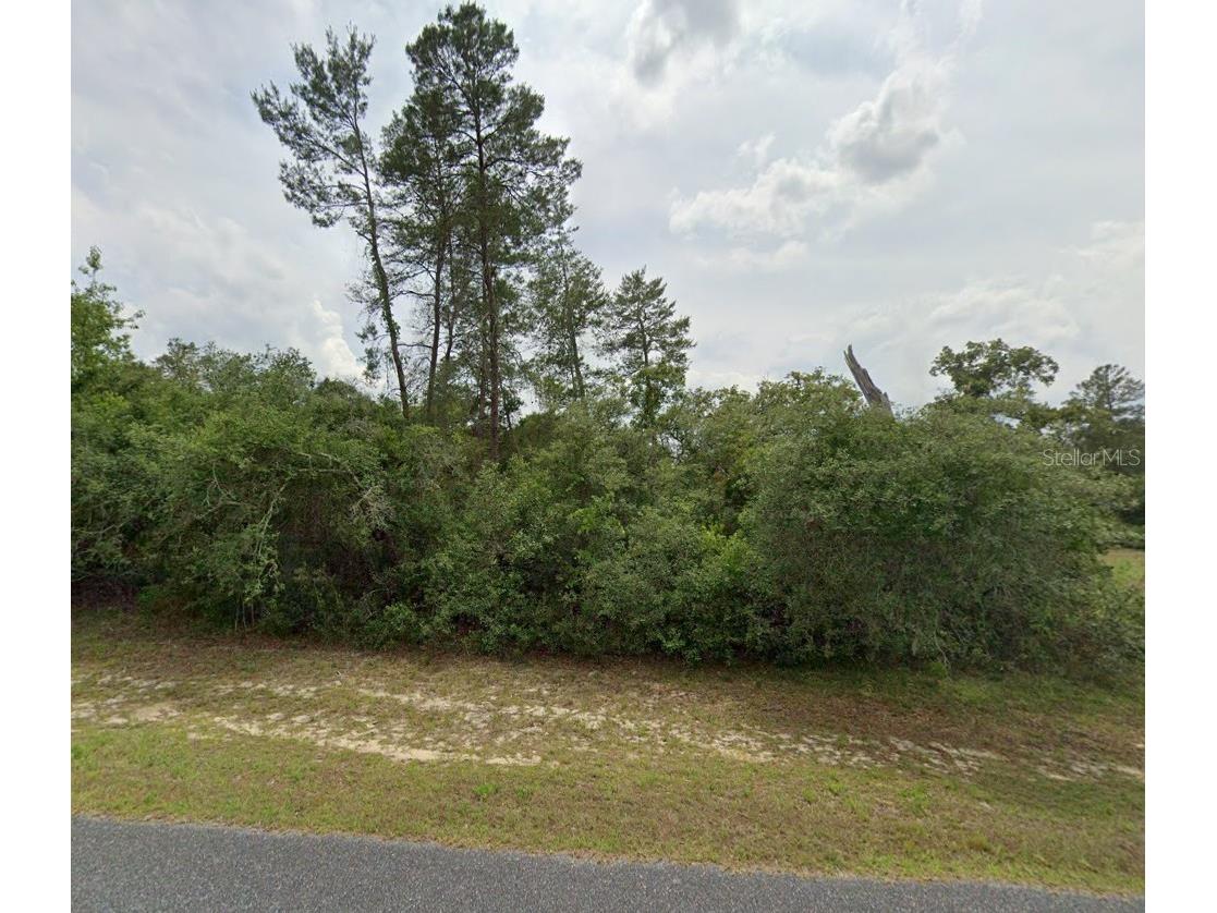 Lot 7 36th Avenue Ocala FL 34473 A4660980 image1