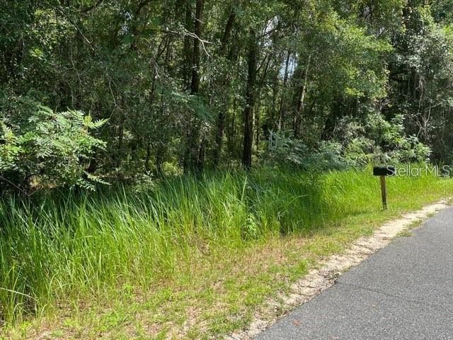 Lot 7 NW 13 Court Ocala FL 34475 OM674867 image1