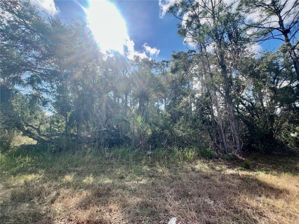 Lot 7 Abbeville Road North Port FL 34288 C7505315 image1