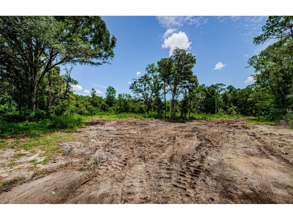 Lot 7 Amherst Street Tampa FL 33625 TB8301454 image1