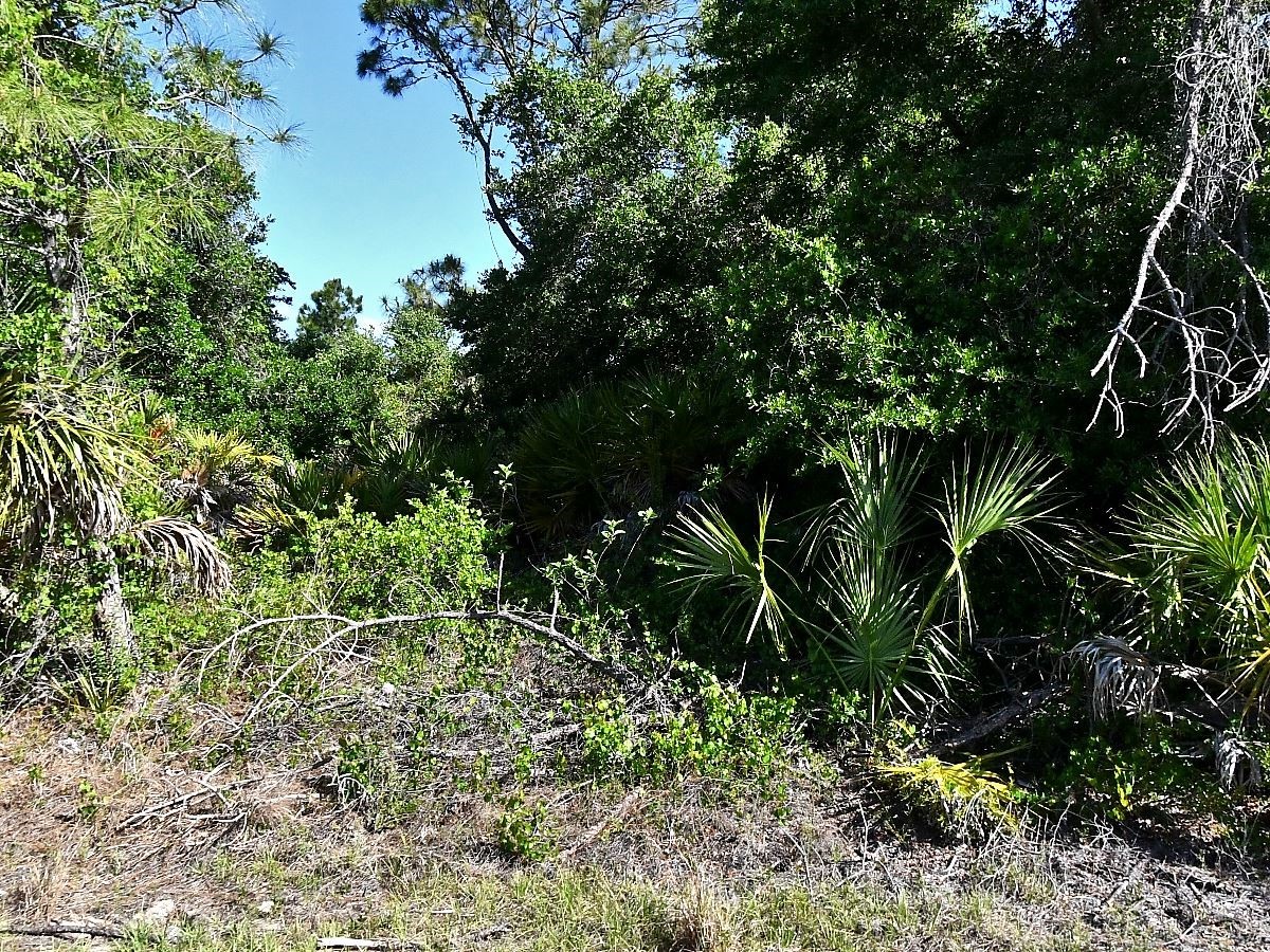 Lot 7 Barcelona Drive North Port FL 34288 N6144338 image3