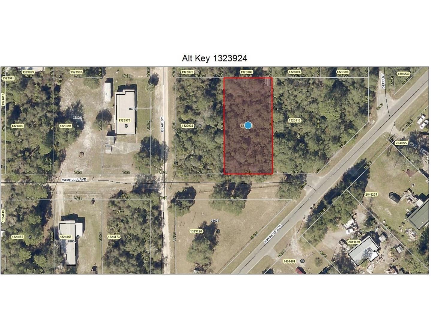 Lot 7 Camellia Avenue Paisley FL 32767 O5969047 image1