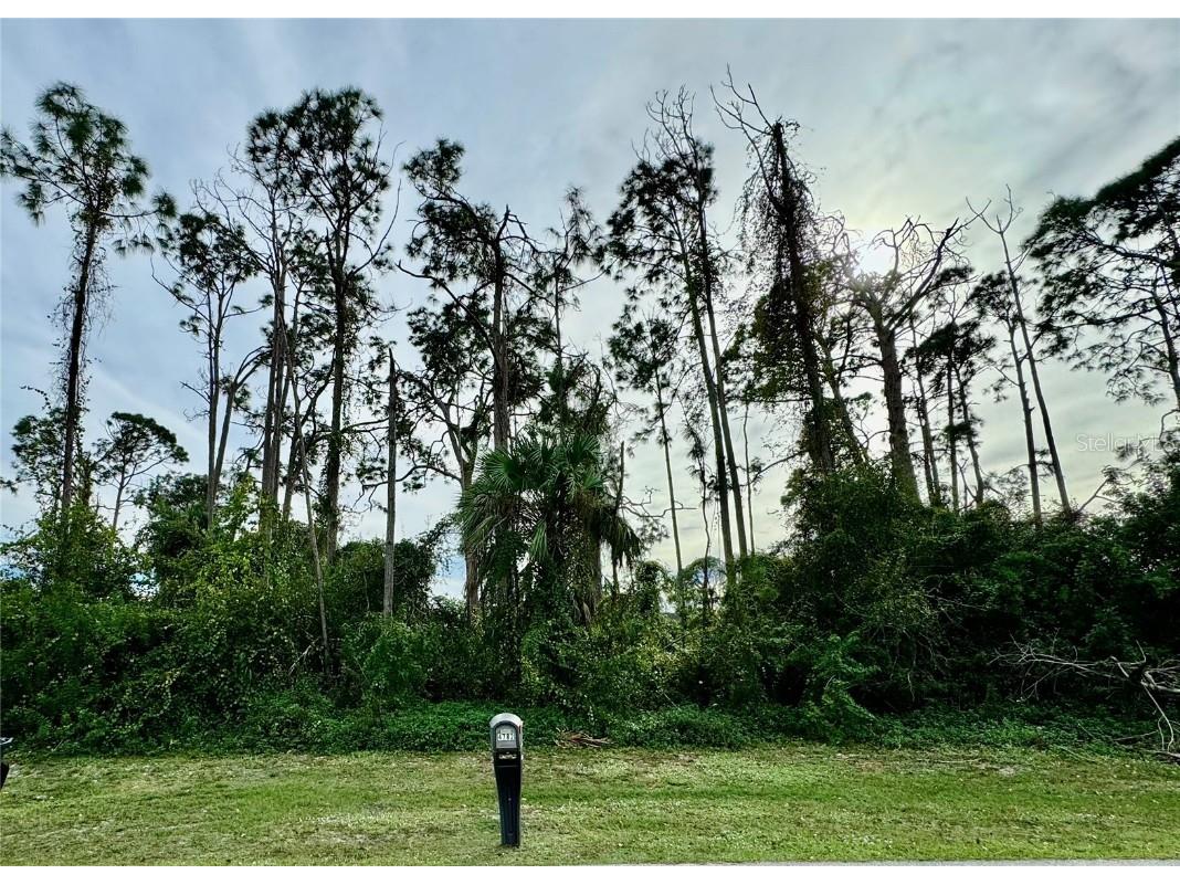 Lot 7 Crabapple Avenue North Port FL 34287 N6129963 image1