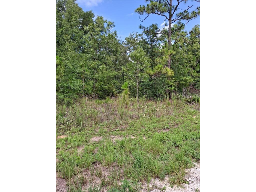 Lot 7 Crabapple Road Weeki Wachee FL 34614 TB8404782 image1