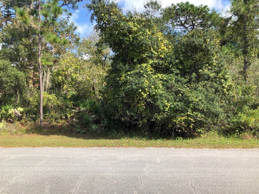 Lot 7 Daffodil Court Eustis FL 32736 - LAKE NORRIS O5981172 image1
