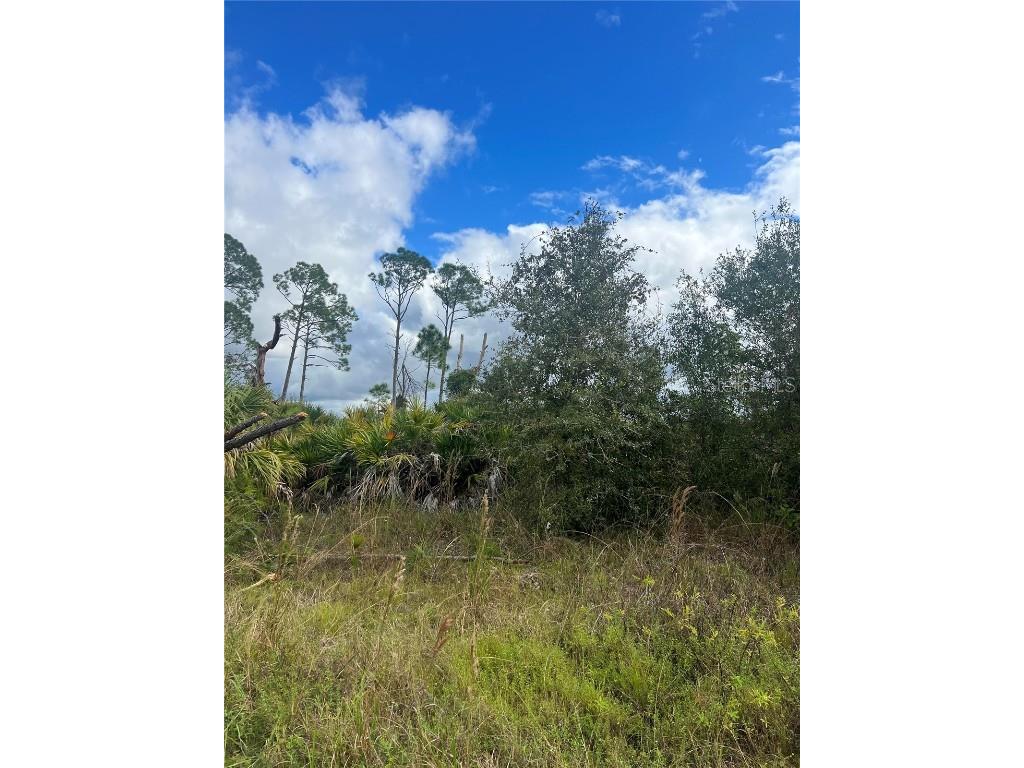 Lot 7 Ewen Drive North Port FL 34288 N6129620 image1