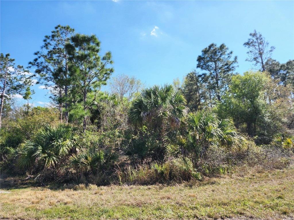Lot 7 Ironside Street North Port FL 34288 TB8359106 image1