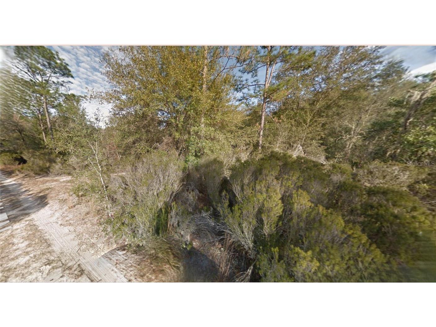 Lot 7 NE 100th Ct Bronson FL 32621 GC535970 image2