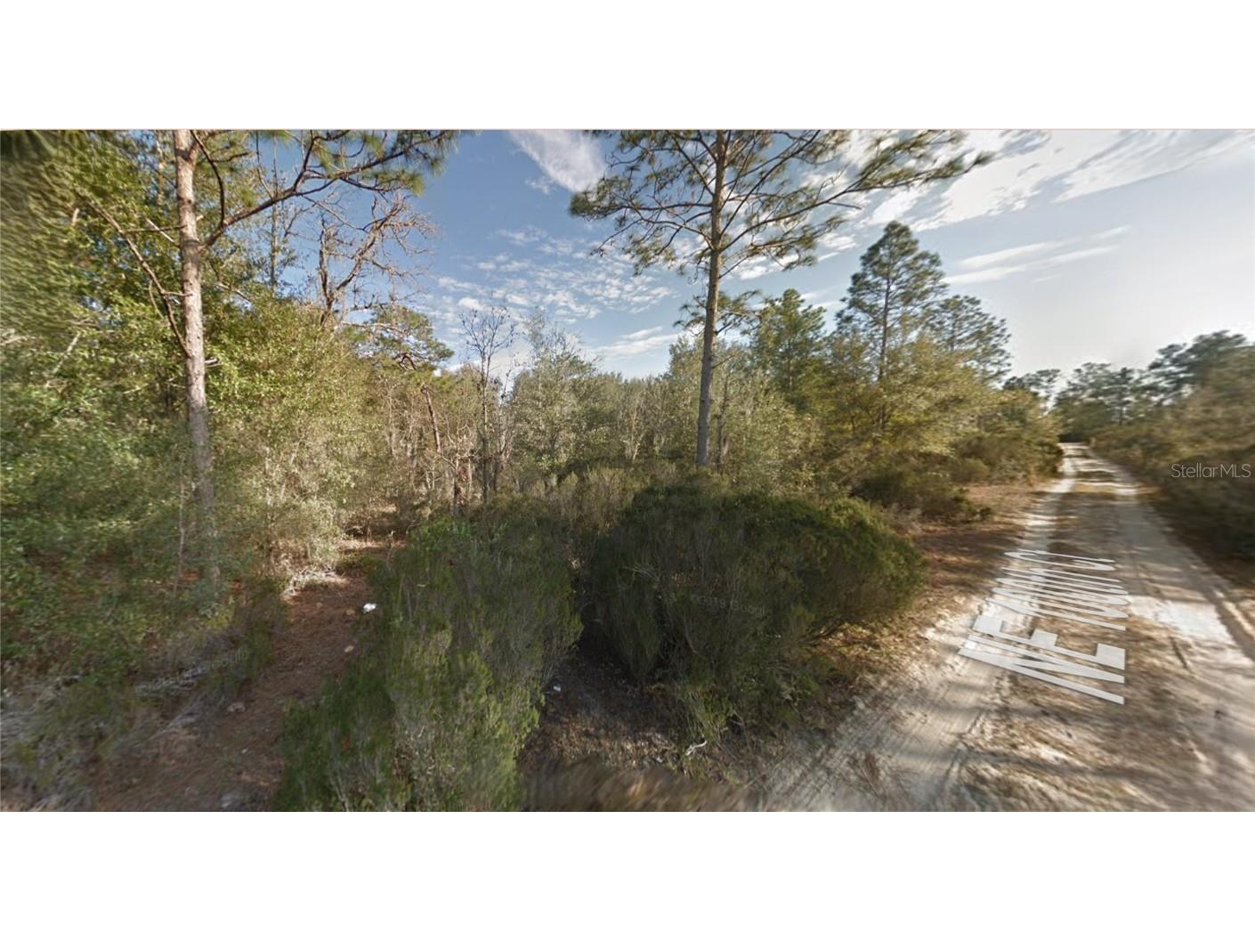 Lot 7 NE 100th Ct Bronson FL 32621 GC535970 image3