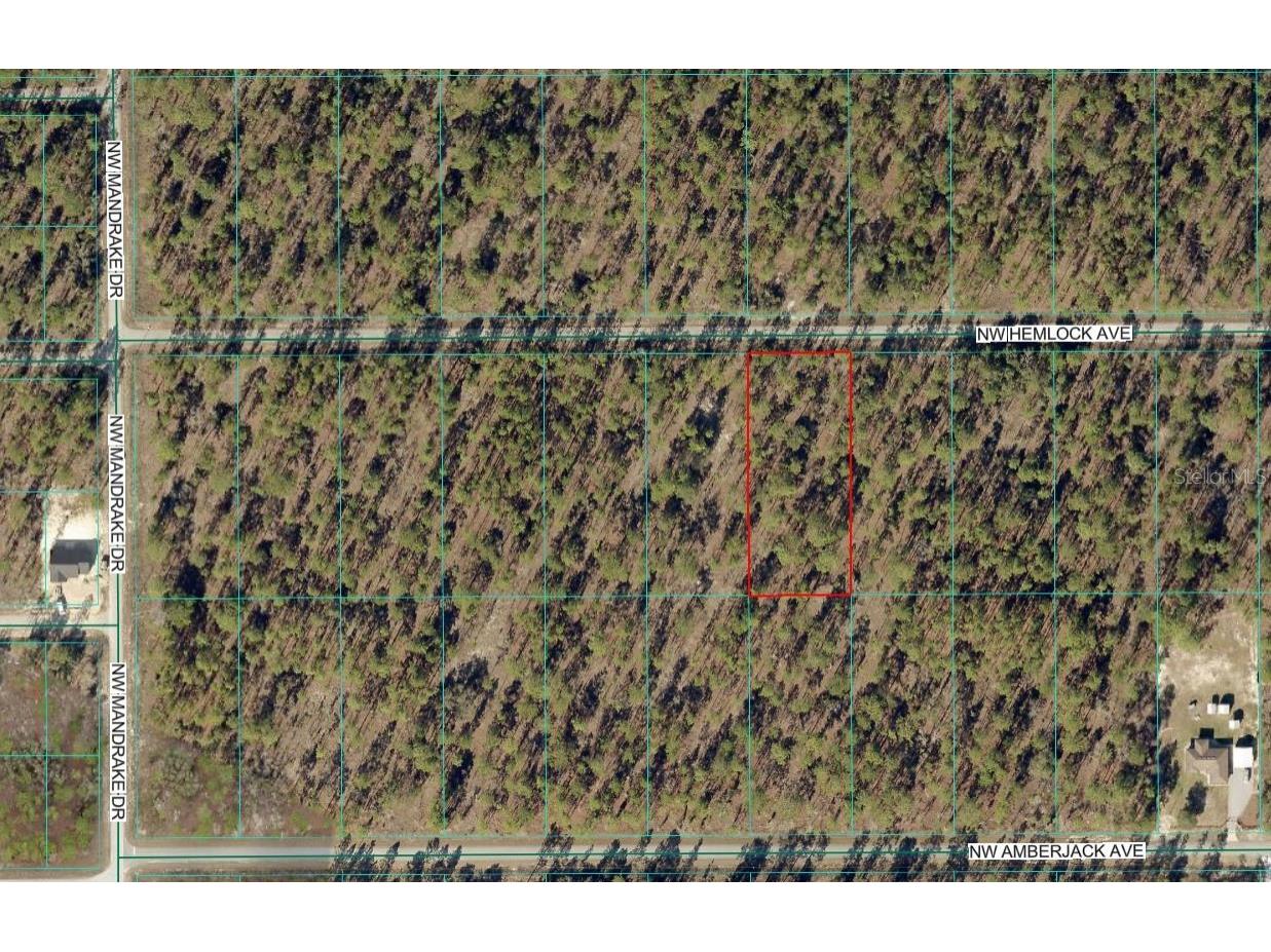 Lot 7 NW Hemlock Avenue Dunnellon FL 34431 OM719766 image2