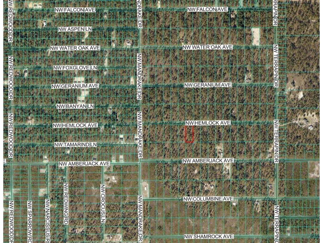 Lot 7 NW Hemlock Avenue Dunnellon FL 34431 OM719766 image4