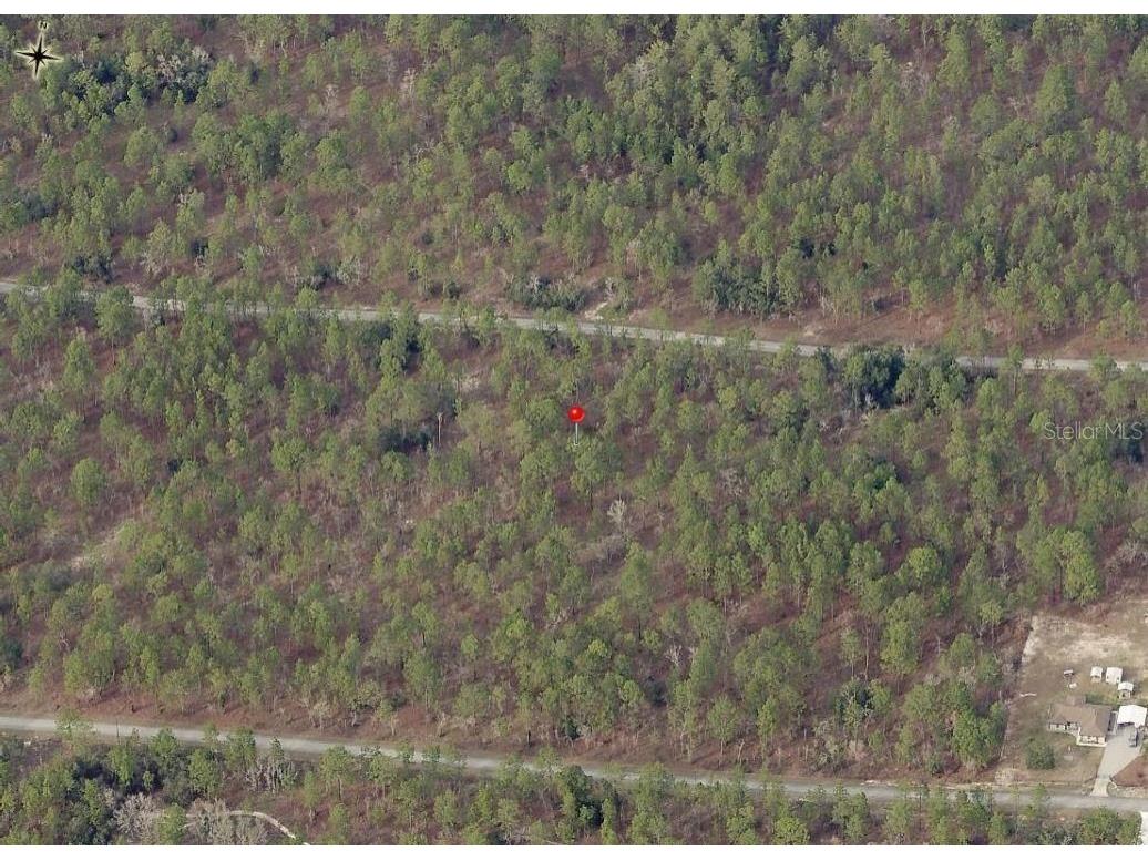 Lot 7 NW Hemlock Avenue Dunnellon FL 34431 OM719766 image5