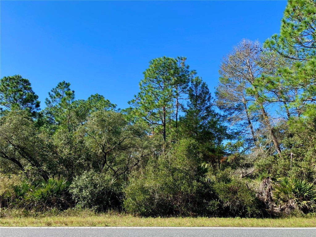 Lot 7 Red Gum Court Eustis FL 32736 - LAKE NORRIS AND LAKE MARION G5075907 image1