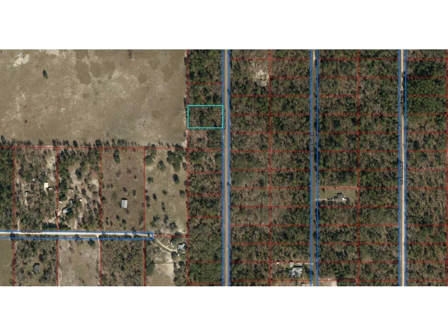 Lot 7 SE 125th Court Dunnellon FL 34431 - Tiger Lake OM666429 image1